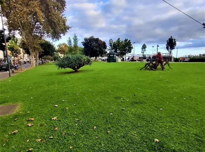 Old Town - Historic Atlantic View Apartment Funchal (Madeira)